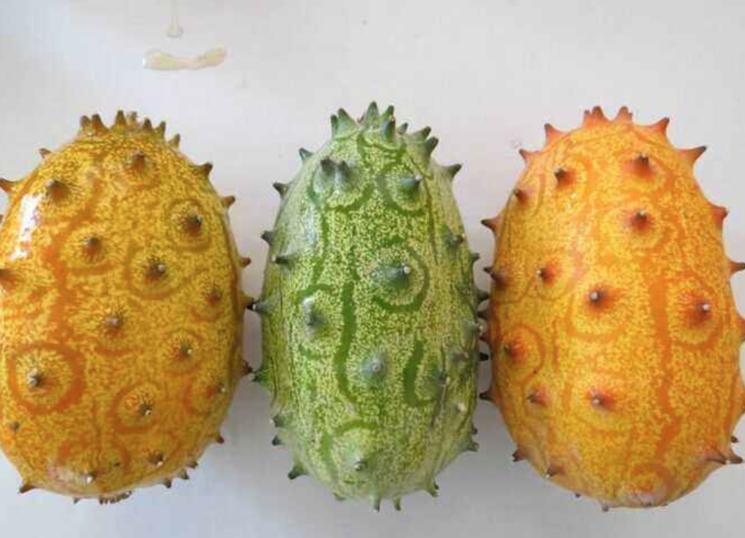 50种不常见的奇葩水果,盘点一下那些少见而又奇葩的水果