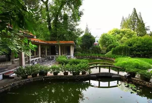 武汉最好10所高中,武汉前十名好学校