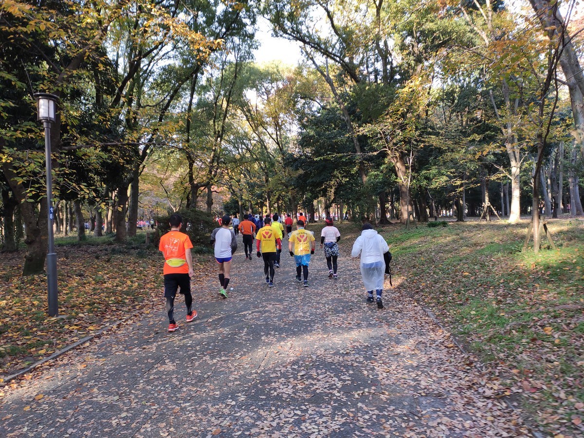 大阪马拉松跑道多少公里,日本大阪马拉松赛道怎么样