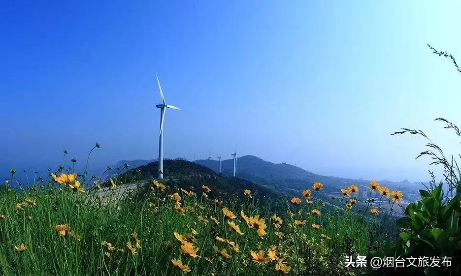 今年长岛蓬莱旅游预约门票优惠吗,长岛免费旅游景区