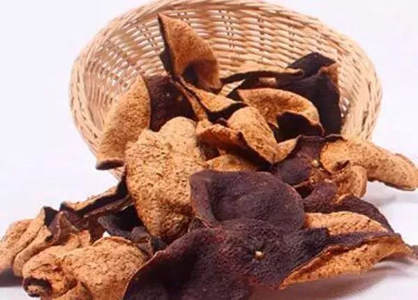 打卡茶产地｜收陈皮时节到啦！这有你想get的重点