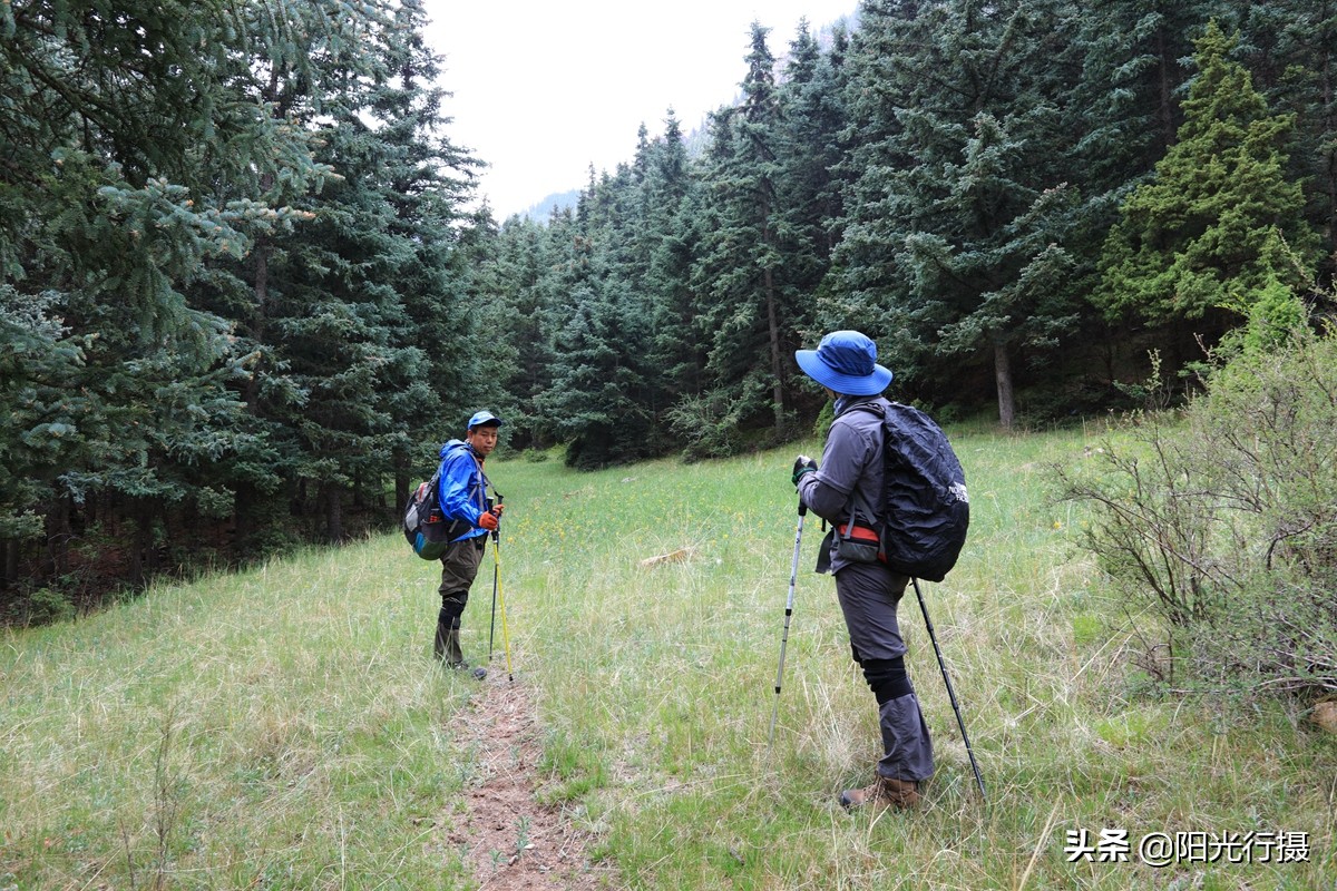 静谧森林和沙漠交界处,静谧森林红色石头