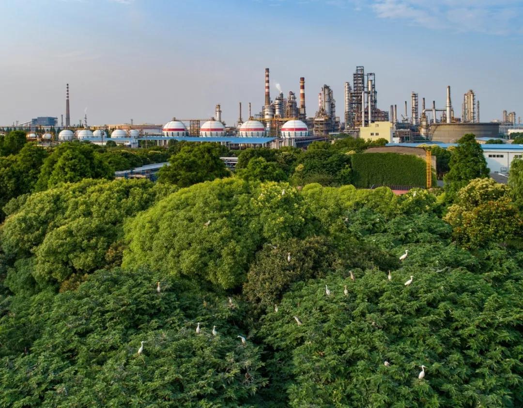 榜单!皇马第一!中国石化第二