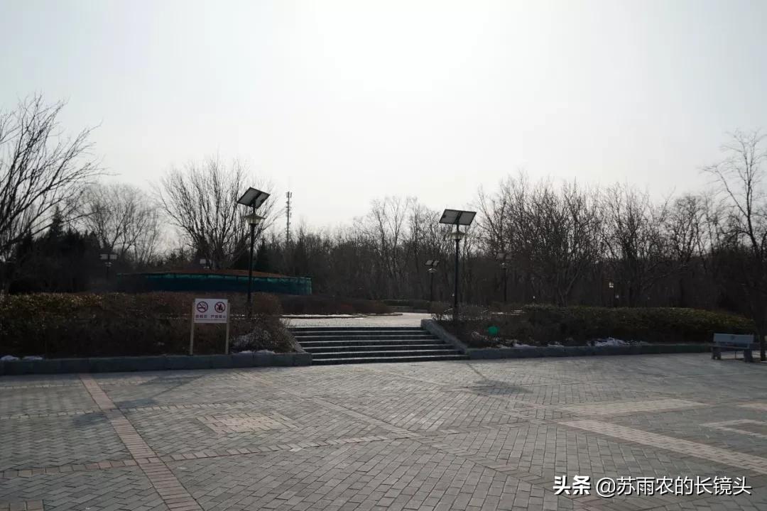 京城闹市寻幽（89）：春节假期中萧瑟的古塔公园