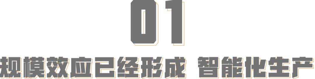 陕西三大品牌羊奶粉,陕西羊奶粉产品介绍