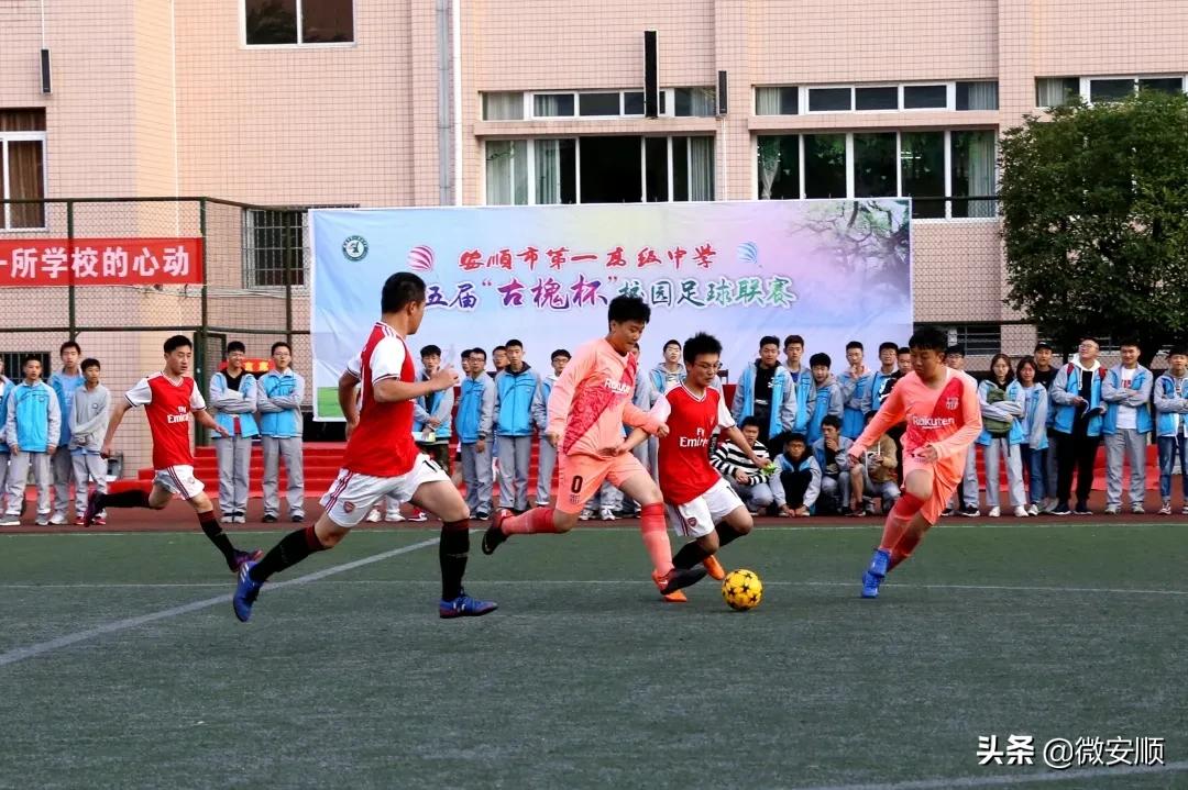 安顺市第一高级中学古槐,2020安顺市文明校园创建优秀学校