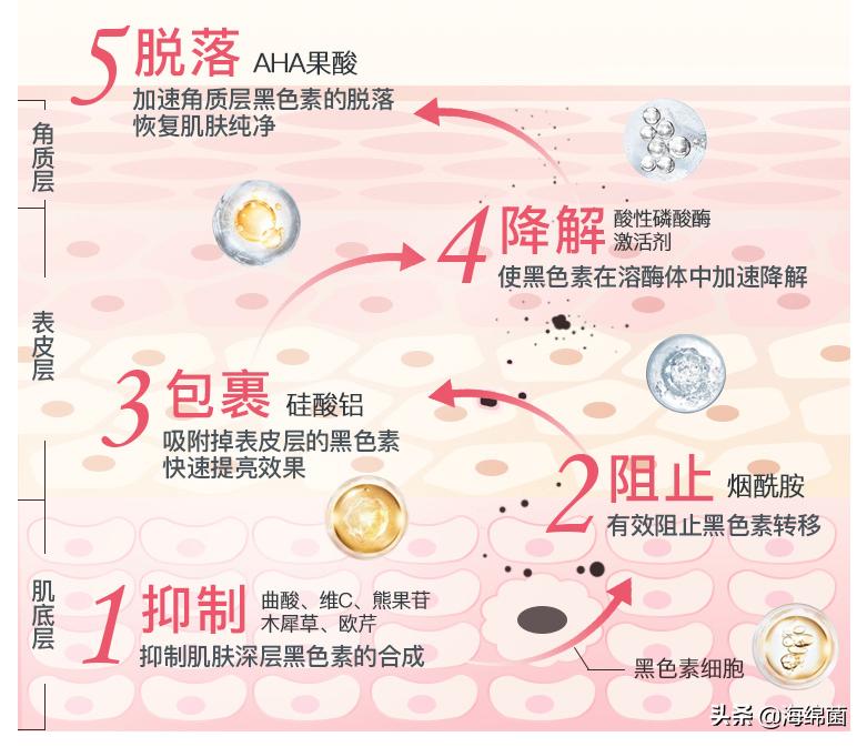 今年夏天美白单品,今夏值得入手的美白好物