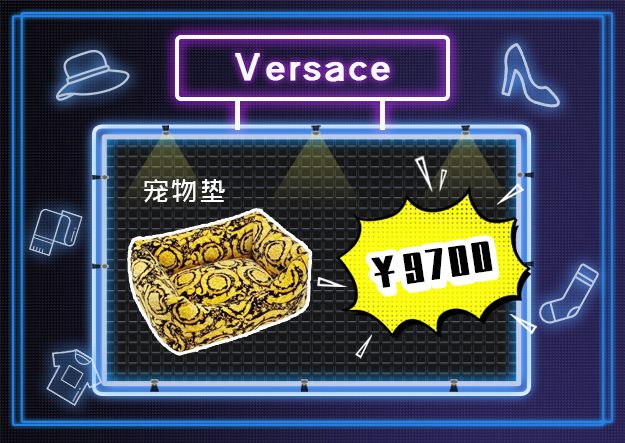 看到它3万块的项圈后,月薪3000的我瑟瑟发抖……