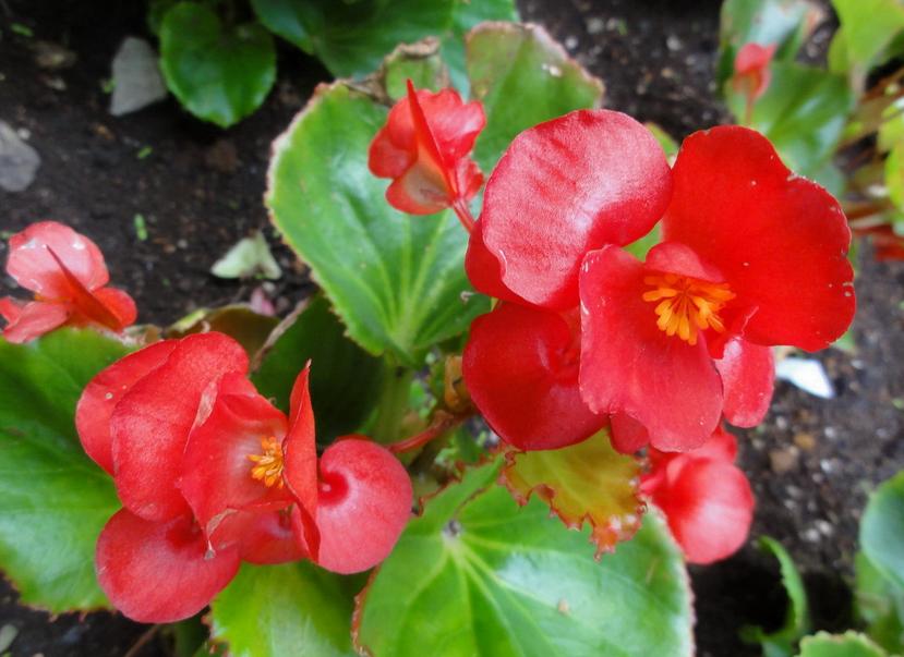 阳台散文随笔,散文阳台