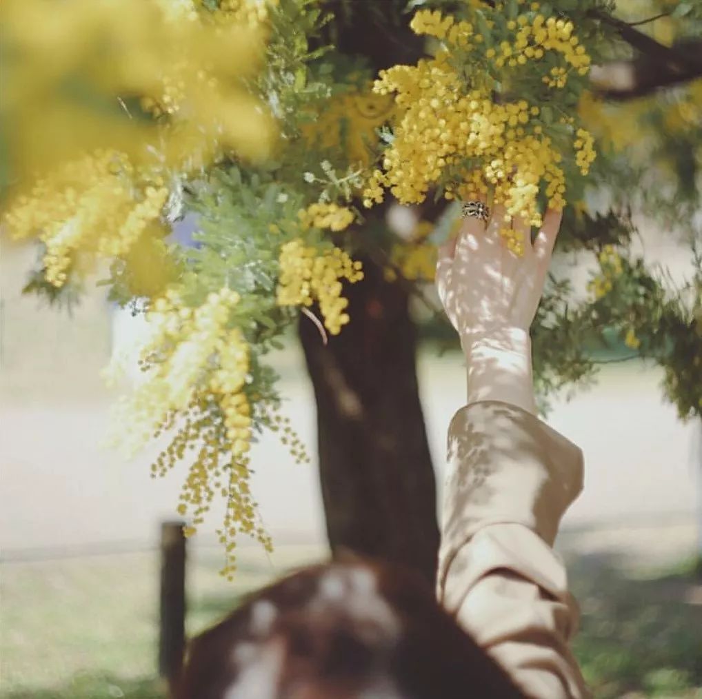 拍照尴尬怎么化解,拍照不自然不上镜的解决办法