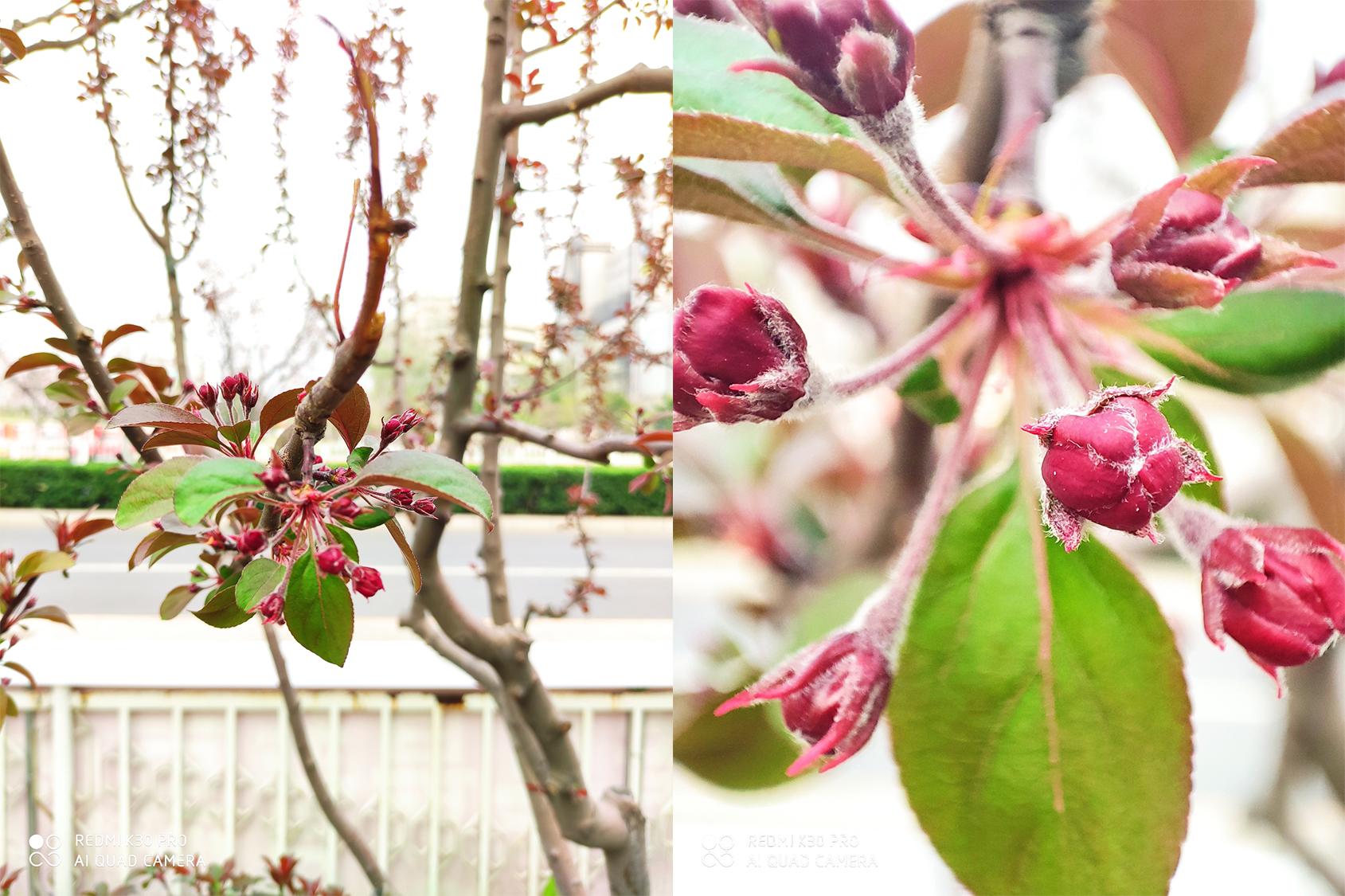 红米k30pro对比红米note10pro,红米k30pro跟小米10哪个值得买