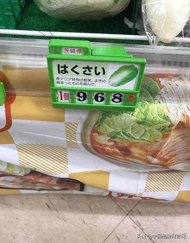 稻米油金龙鱼现状,稻米油金龙鱼