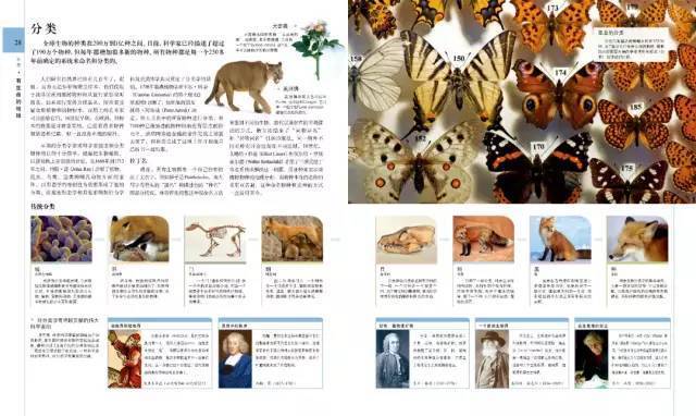 dk系列书籍六岁孩子适合入手哪些,dk儿童认知书推荐