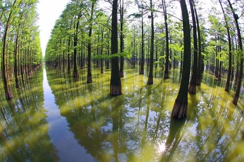 野生小伙伴在哪里玩,野生小伙伴