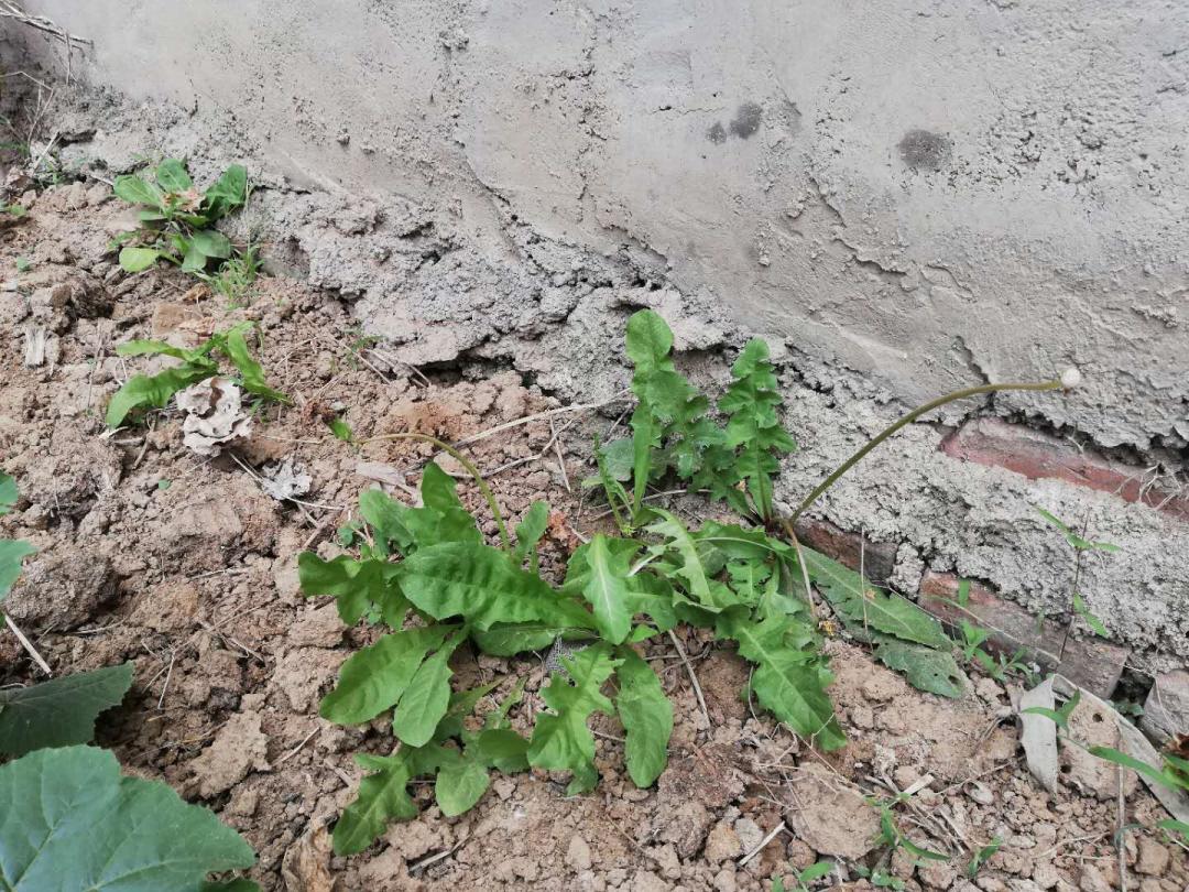 闲着木事儿，你来俺家玩儿呗