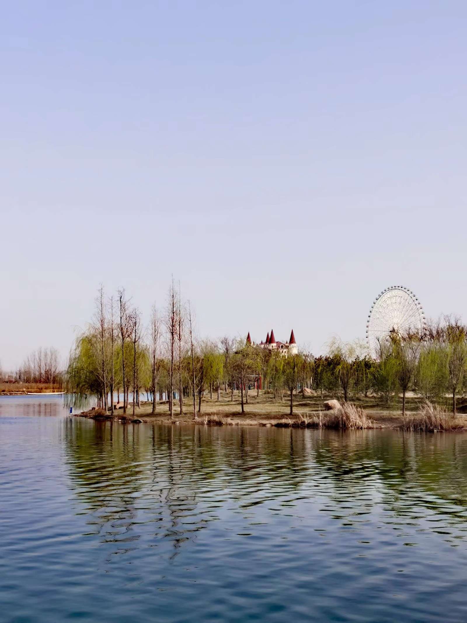 濞佹捣鑾辫尩灏忛晣,澶╂触鑾辫尩灏忛晣