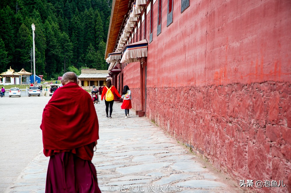 甘南有天堂图片,甘南有哪些自然风光