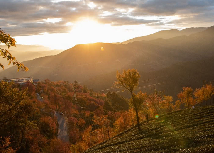 南涧樱花谷什么时候去最热闹,国内最美的樱花谷