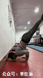 自由倒立撑训练方法,初学者如何掌握倒立撑