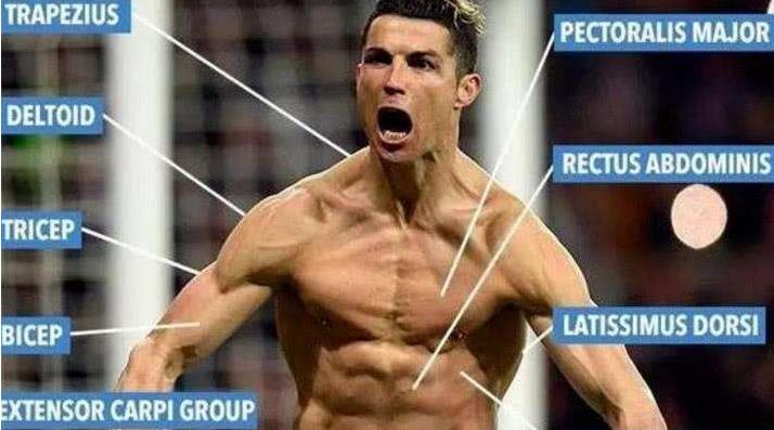 体坛十大变态肌肉,盘点体坛5大神级纪录