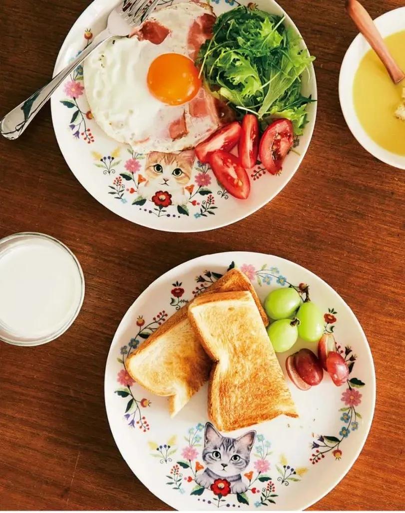 日本人又来骗猫奴们的钱啦!但我心甘情愿掏钱了!