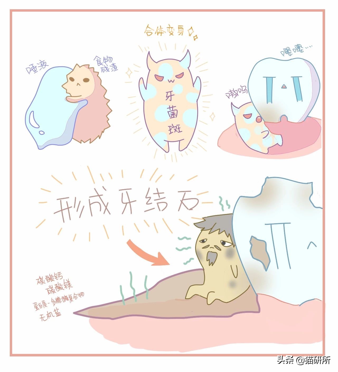 猫咪口臭的解决方法及原因,猫咪口臭缺乏什么