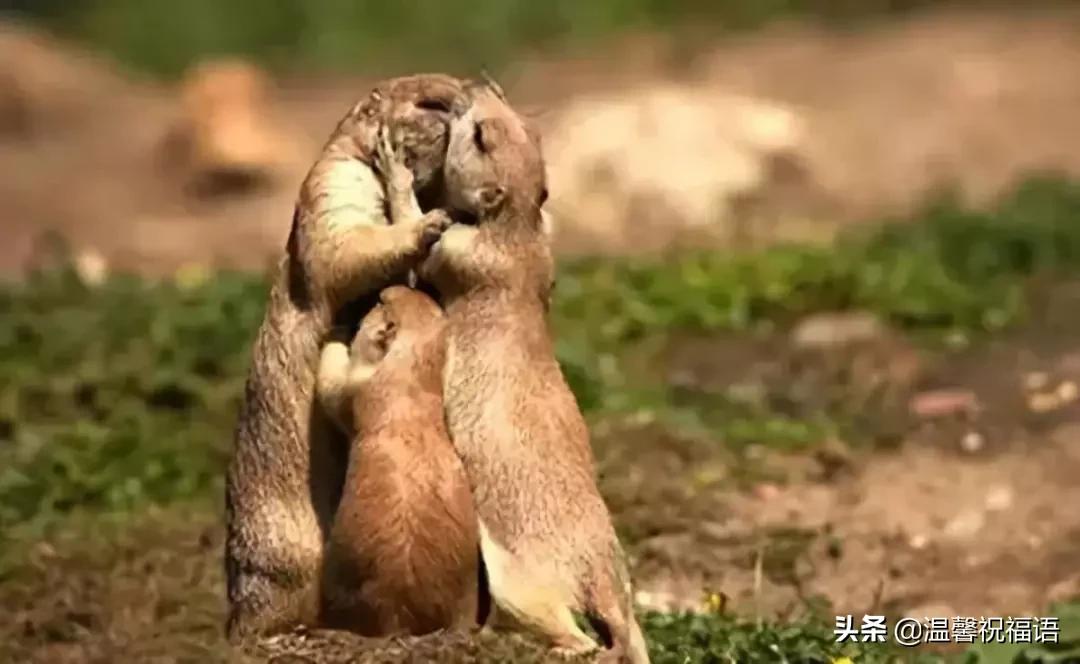 今天3月10，我的妈呀！谁编的，太好笑了，给群里乐一乐