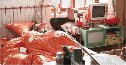 无需插电加热床垫,五分钟升温最快的床垫