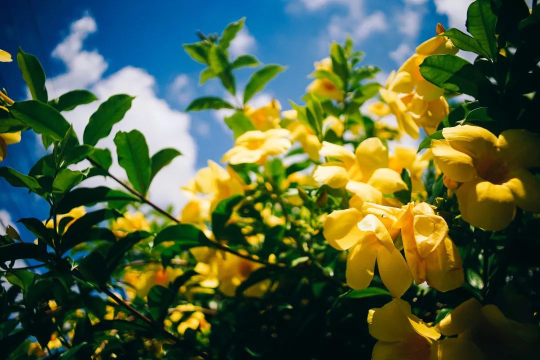 冲绳有哪些好玩的地方夏天,冲绳冬季有什么好玩的