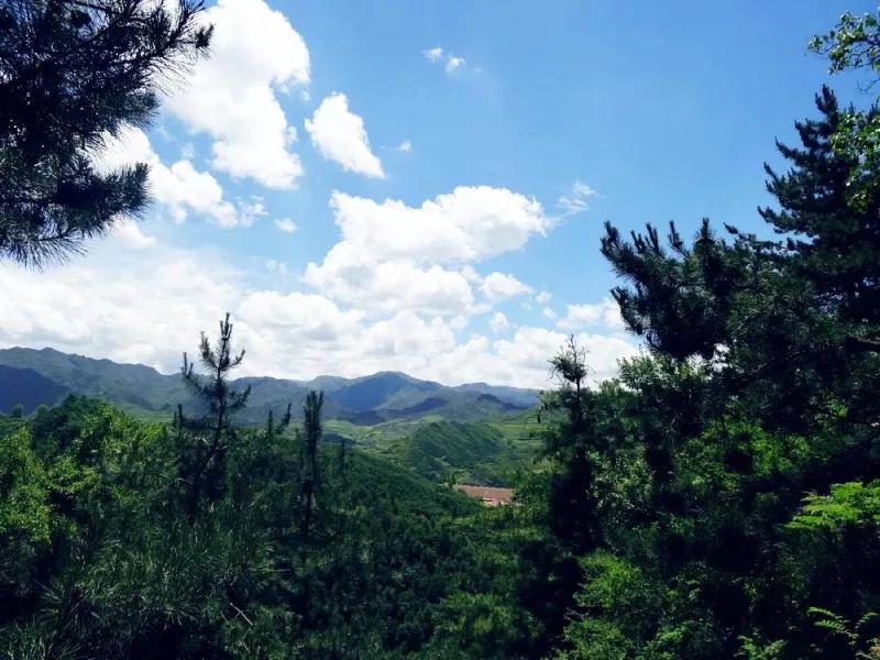 定西千般好总有一样适合你！