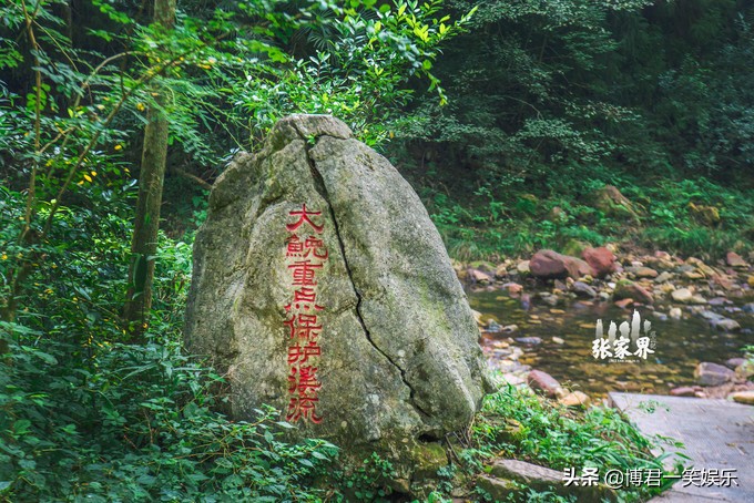 张家界团队游玩路线攻略图,张家界三日游详细攻略