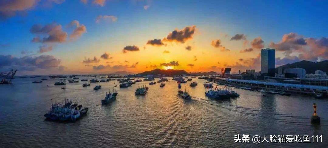 舟山带鱼好吃还是日照带鱼好吃,南有舟山北有舟山带鱼