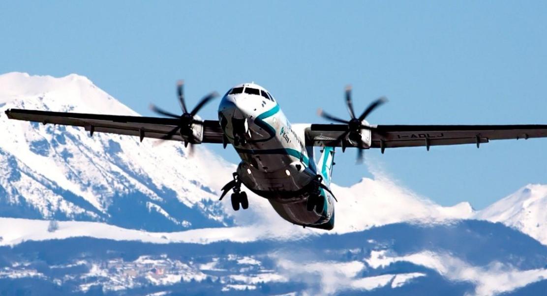 世界上最大的鸟撞飞机,一只鸟撞上飞机导致坠毁