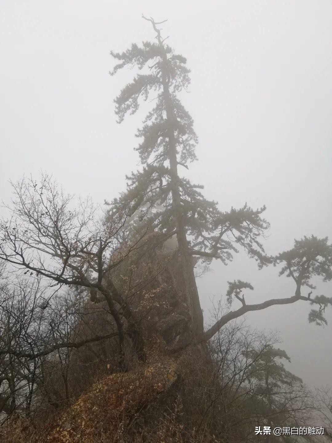 道教第一发源地在哪座山,轩辕问道广成子