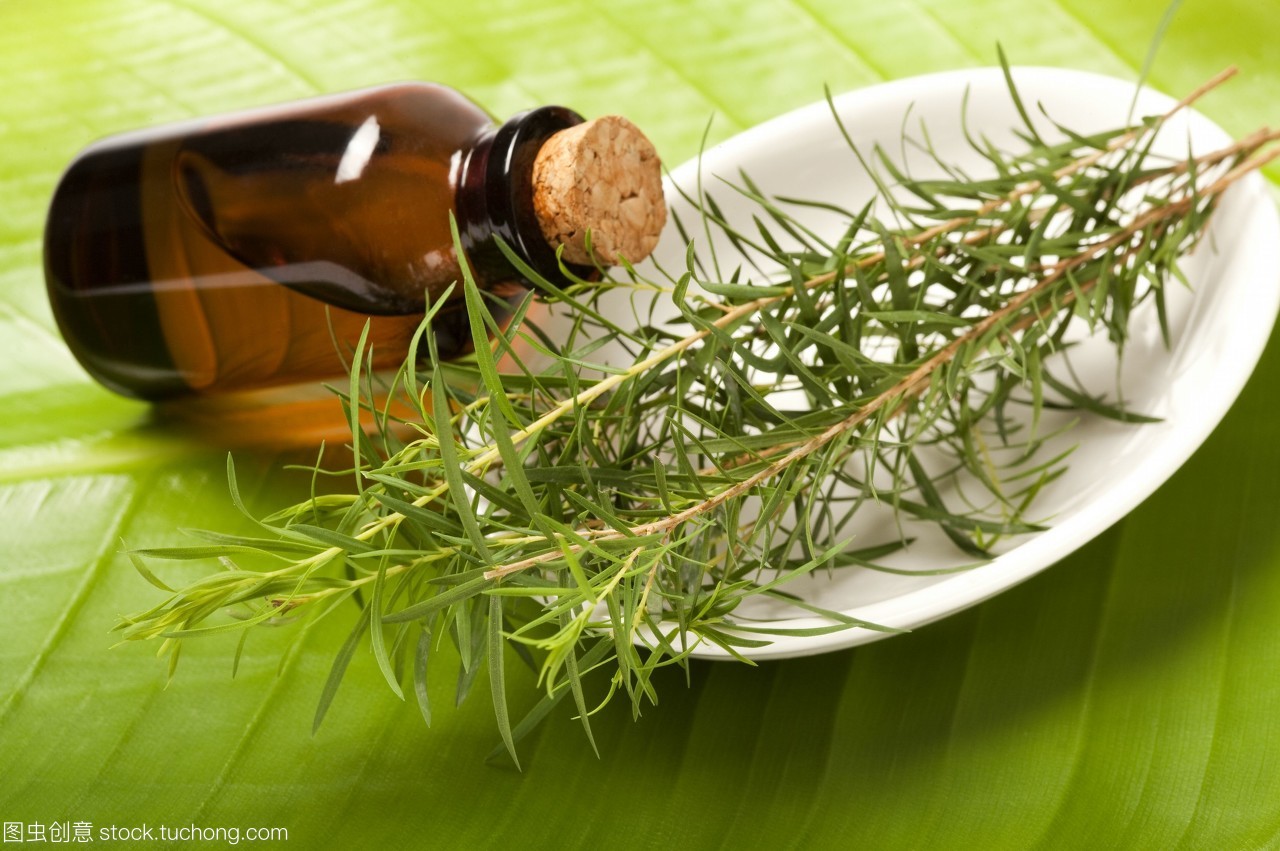 茶树精油怎么用在脸上,茶树精油怎么用在脸上祛痘印