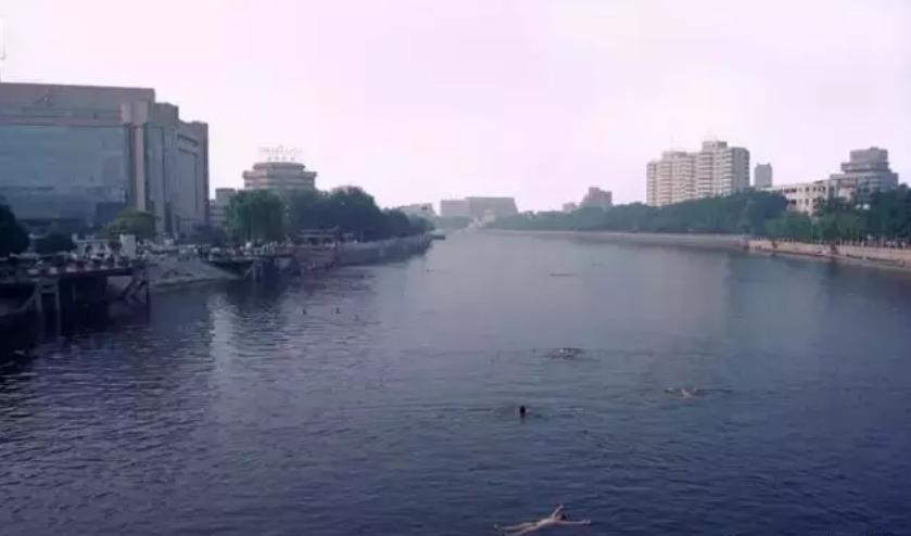 麦兜周岁,麦兜的生日