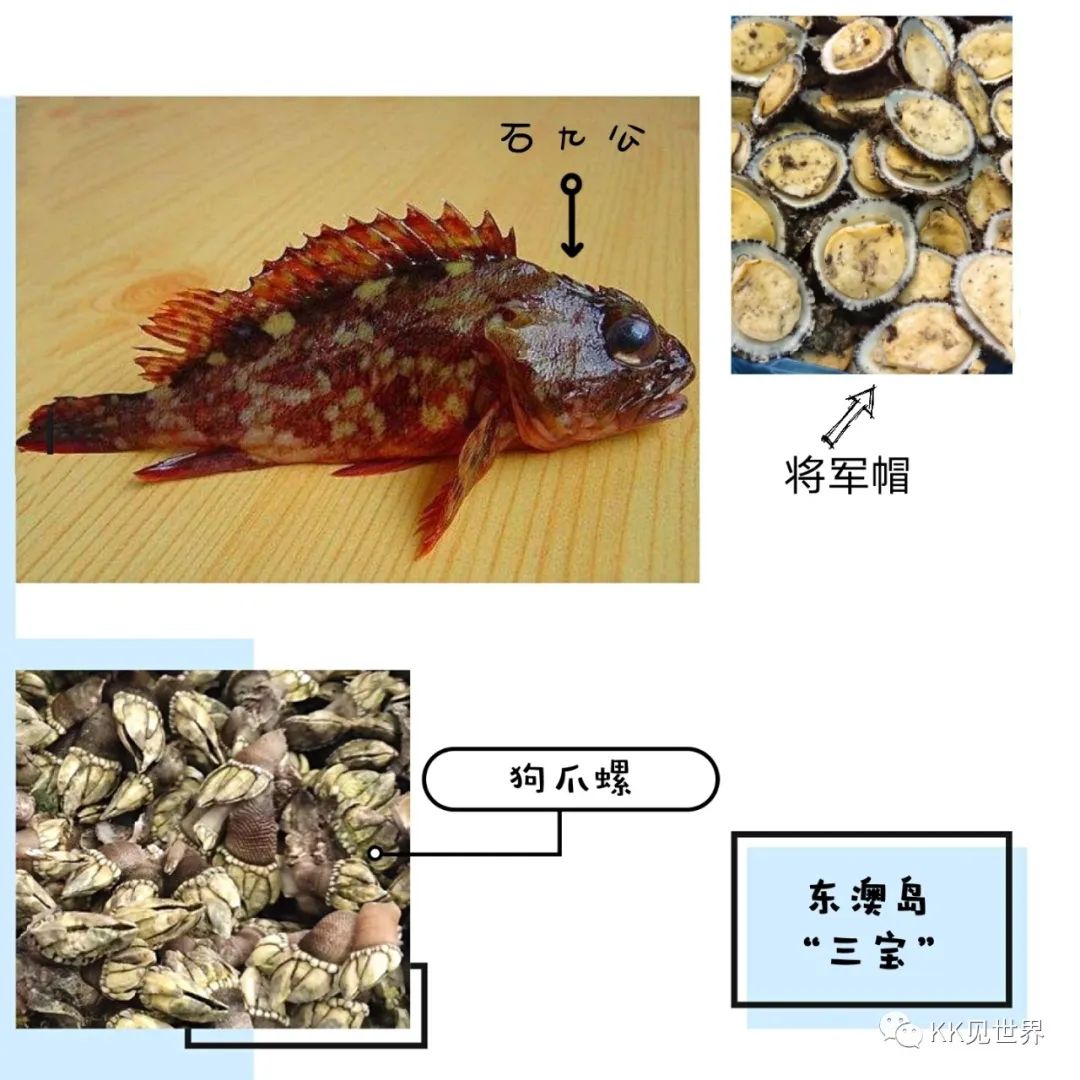 东澳岛电动车环岛旅游,珠海东澳岛徒步攻略