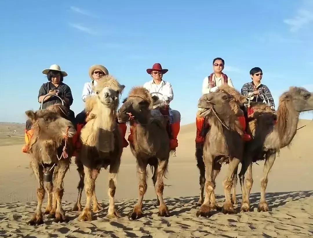 陶瓷艺术新星！深圳文博会金奖得主杨博，面向世界、扎根赣东北