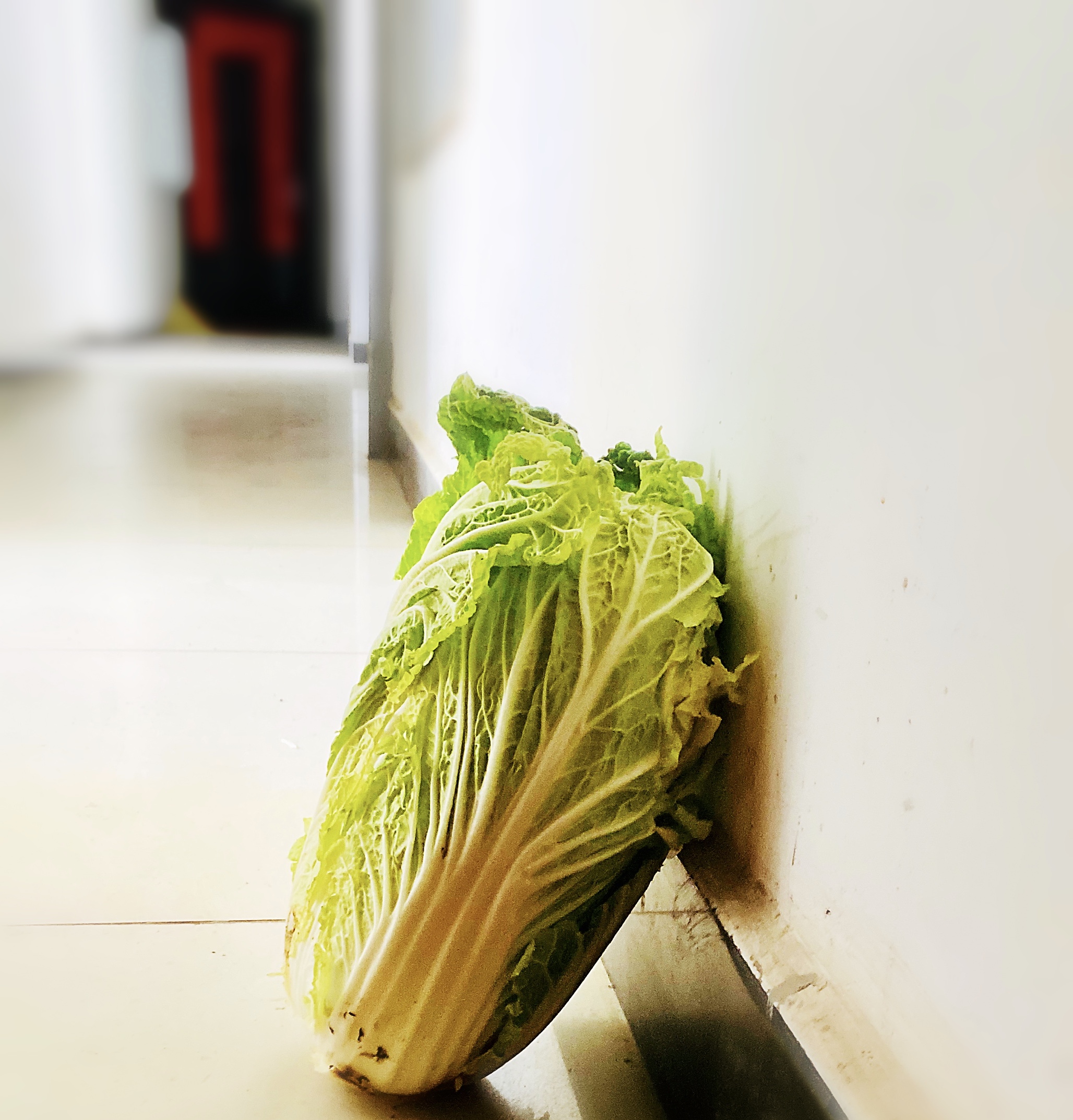 这个疫情中心的居民小区为何不卖惨?揭开逆境下的自强自愈秘笈