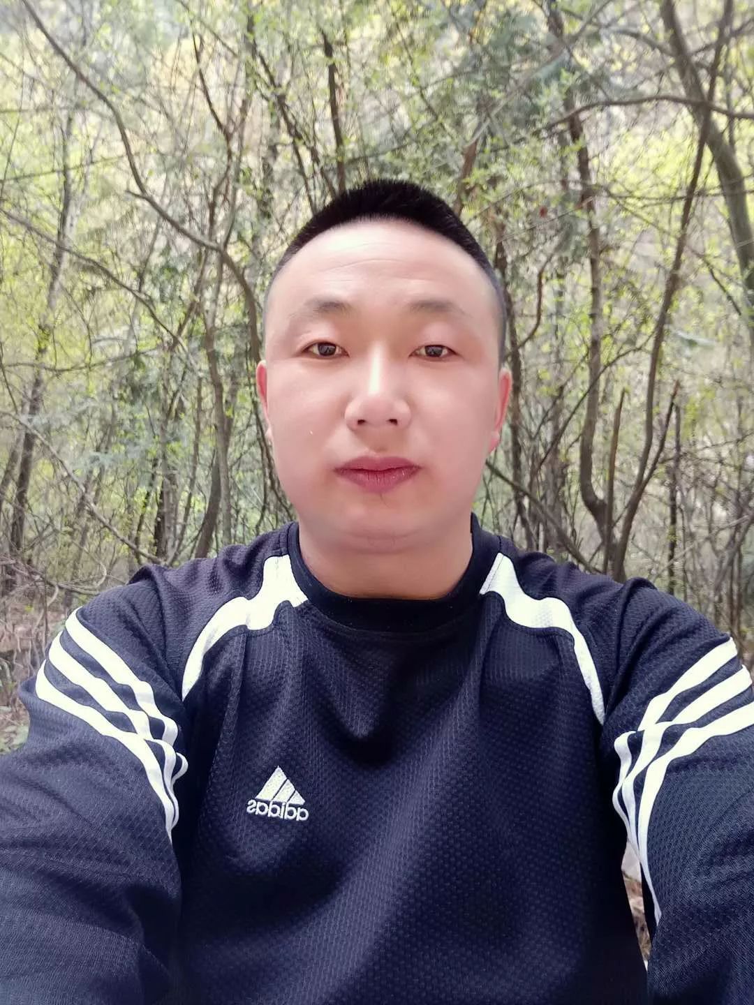 王羽诗句,王羽朗诵视频