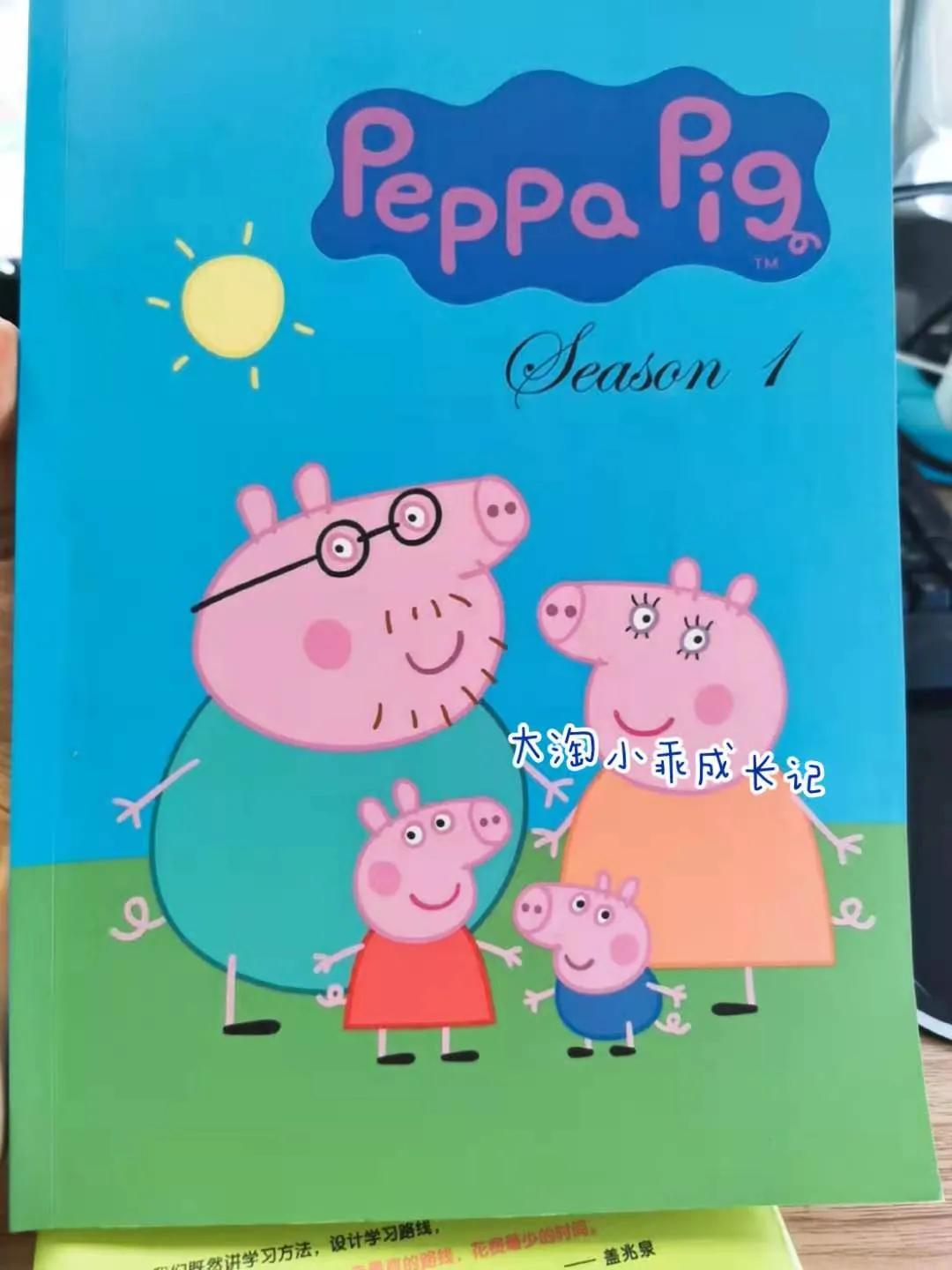 成人零基础看英文动画片怎么学,看英文动画片学习英语的方法