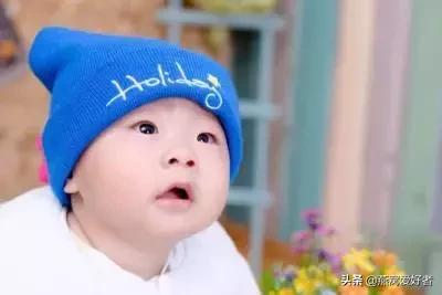 燕窝是什么东西做的,燕窝是什么意思