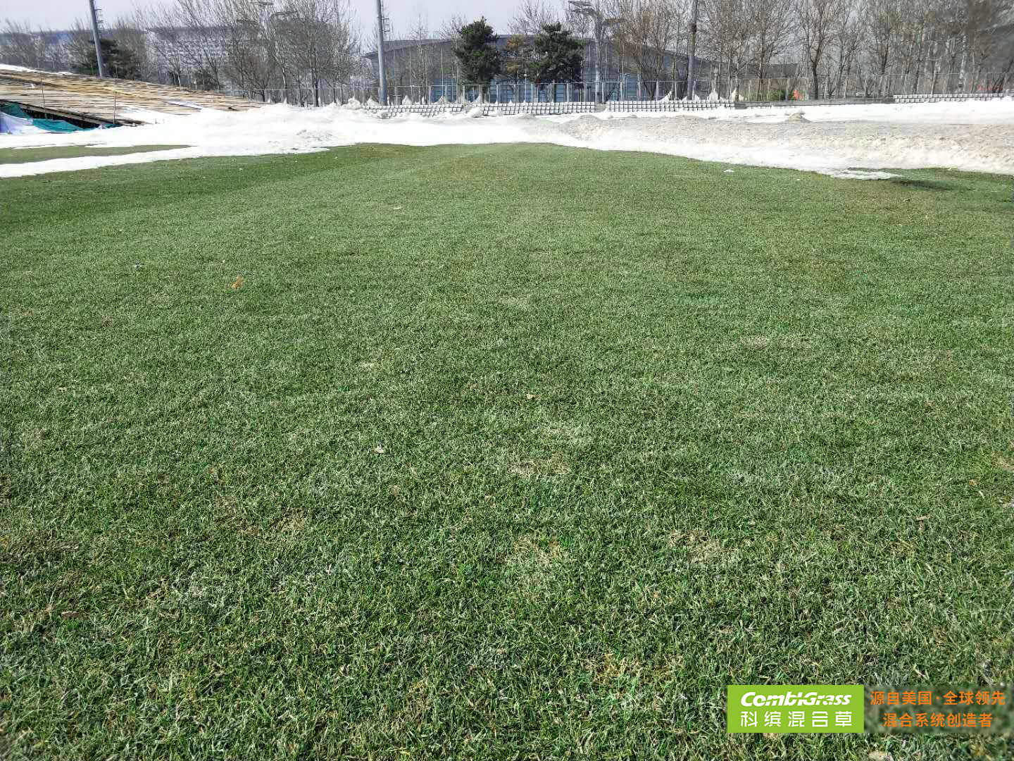 冰雪覆盖建筑物,冰雪覆盖效果