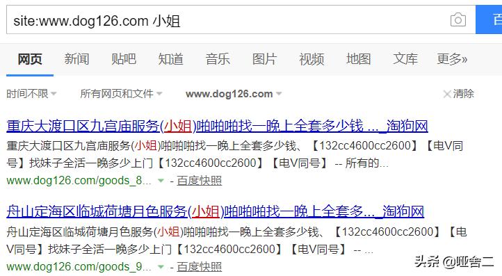 seo案例分析数据,seo案例分析视频