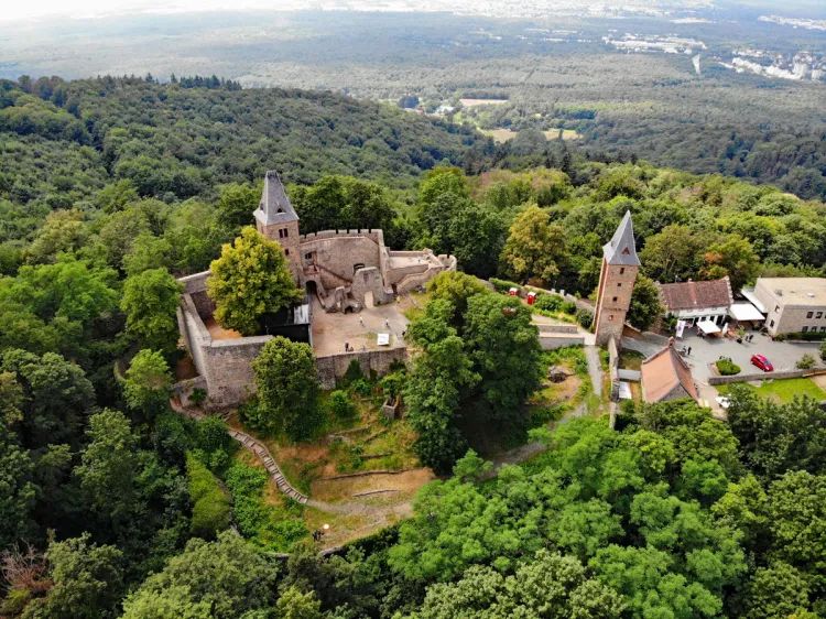 号角喇叭第一品牌：Avantgarde喇叭花