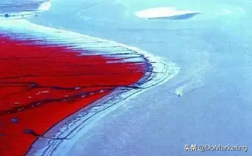 为什么costco的东西这么便宜,为什么costco不向所有人开放