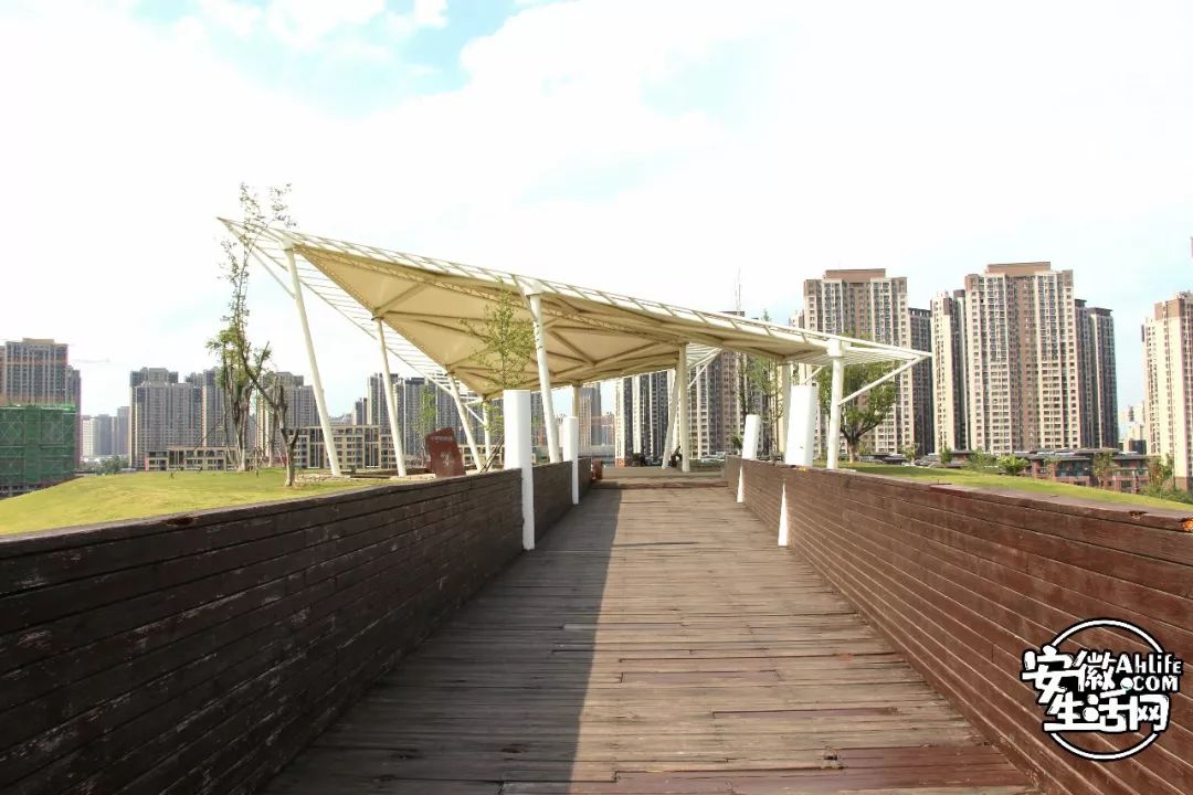 庐阳老城内藏着一处最大的综合性森林公园，人少景美，关键还免费