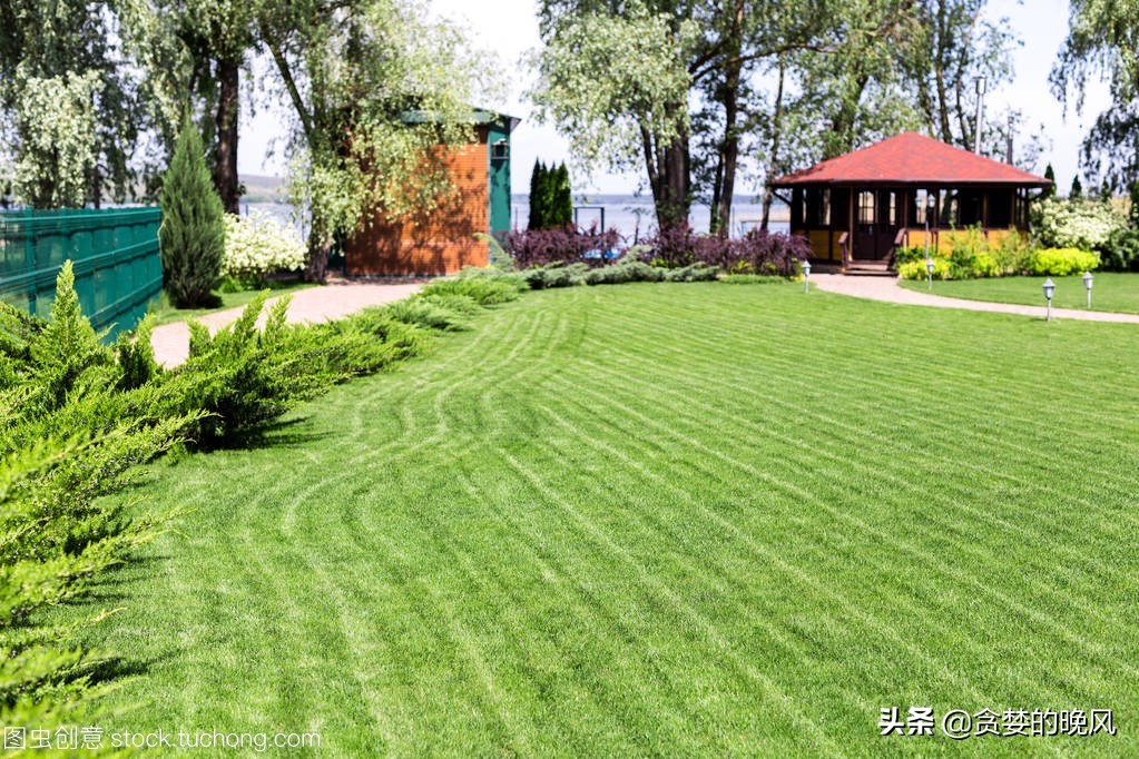 为什么草坪能频繁的修剪,老园丁养花从来不怕虫害