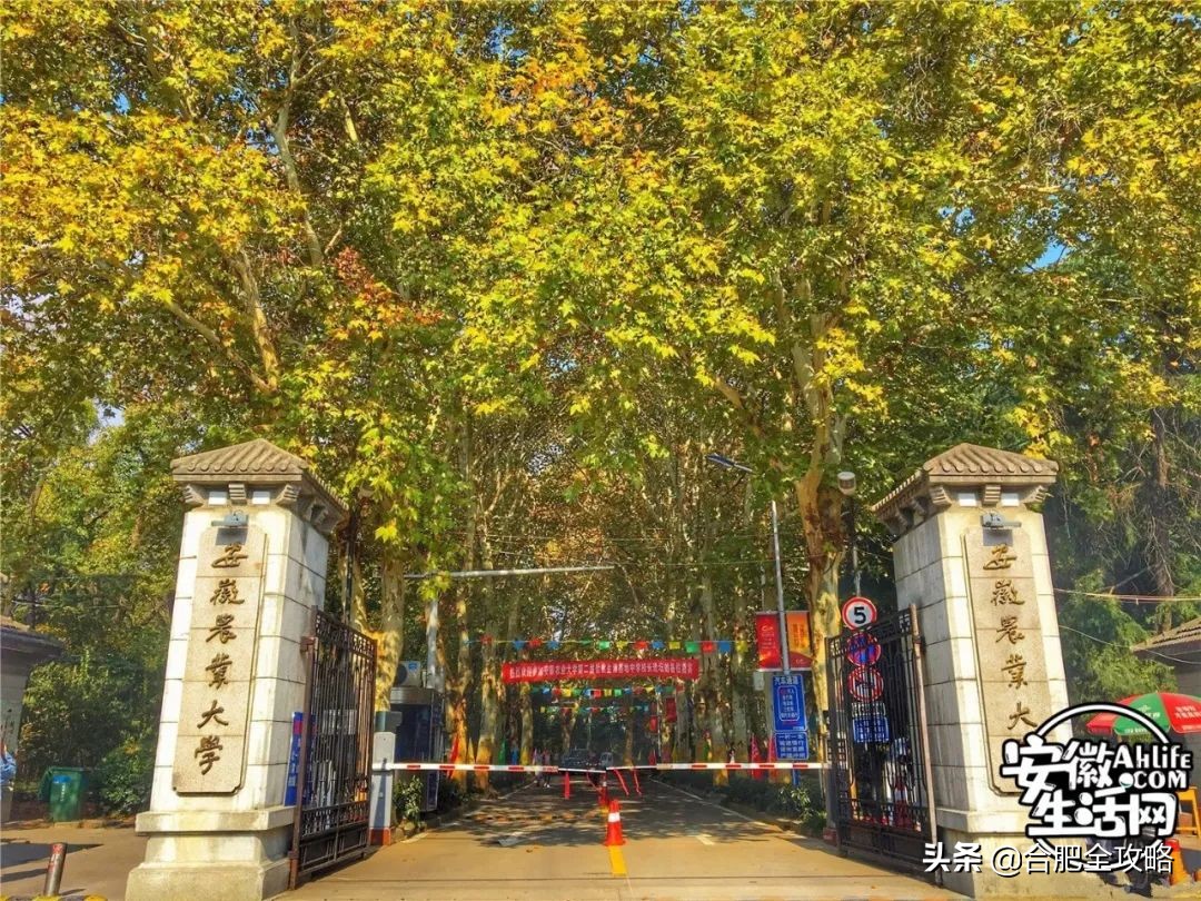 合肥是一座温暖的城市,合肥是一个有灵魂的城市