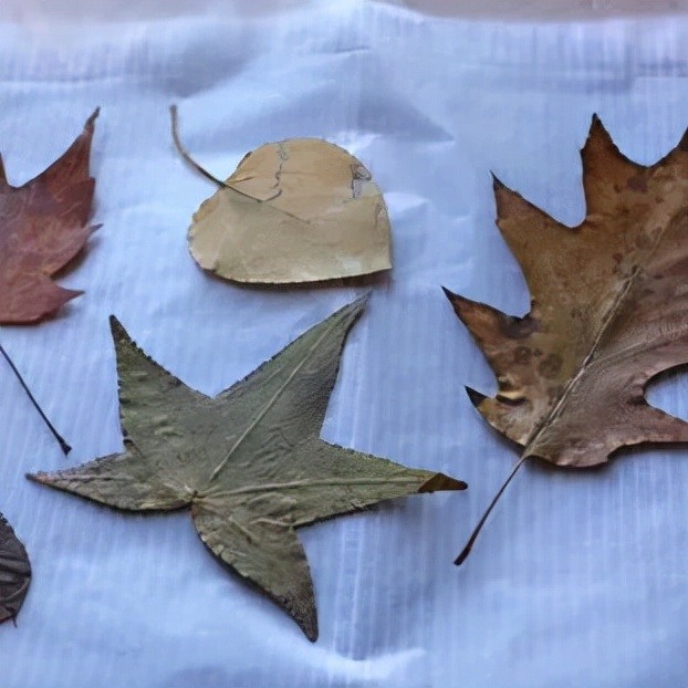 国庆绘本手工制作图片,国庆绘本展板